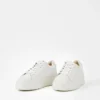 Judy Sneaker