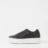 Judy Sneaker